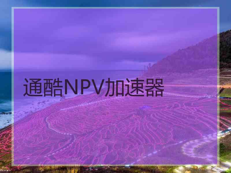 通酷NPV加速器