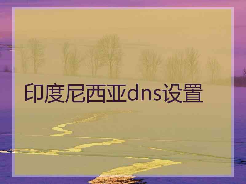 印度尼西亚dns设置