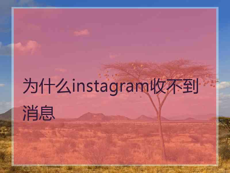 为什么instagram收不到消息