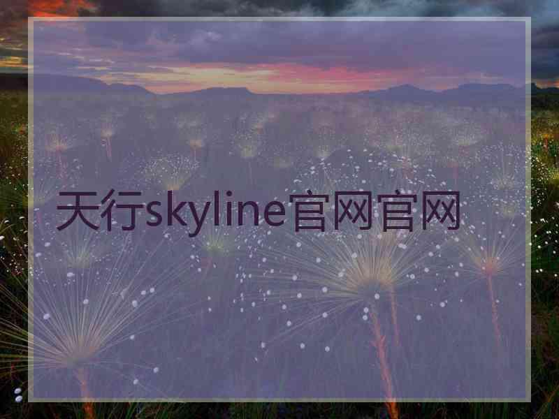 天行skyline官网官网