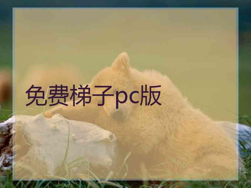 免费梯子pc版