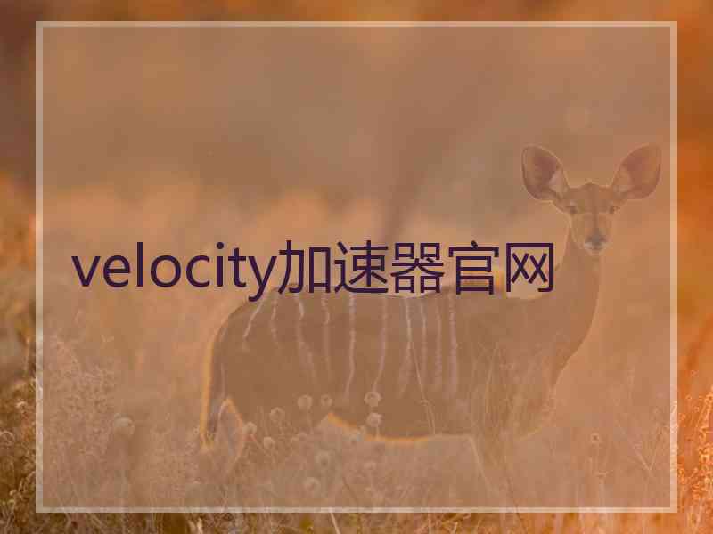 velocity加速器官网