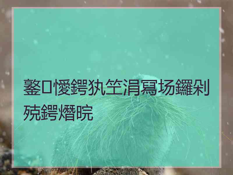 鐜懓鍔犱笁涓冩场鑼剁殑鍔熸晥