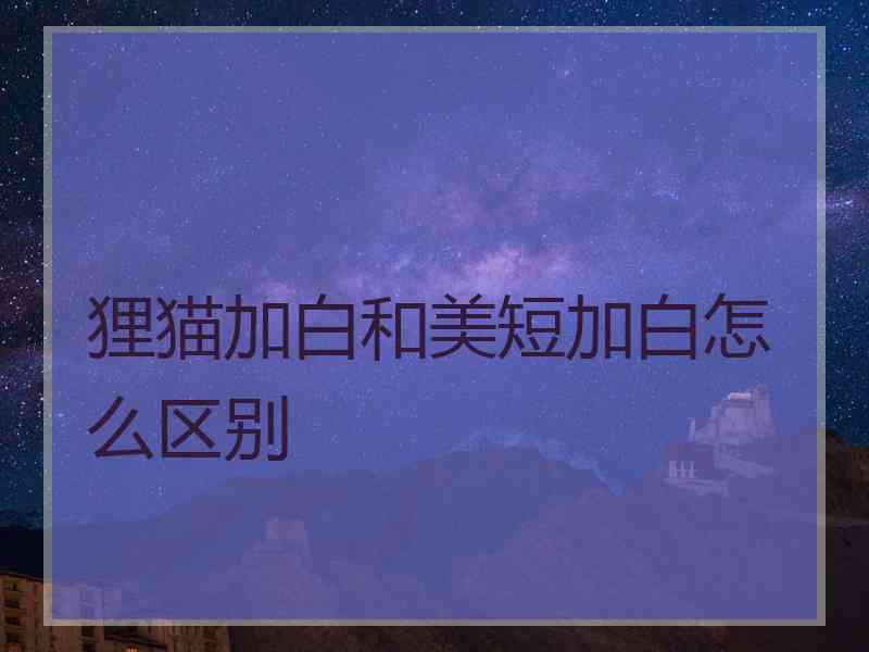 狸猫加白和美短加白怎么区别