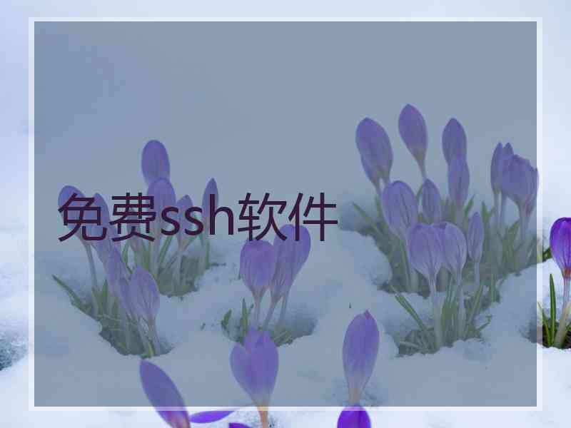 免费ssh软件