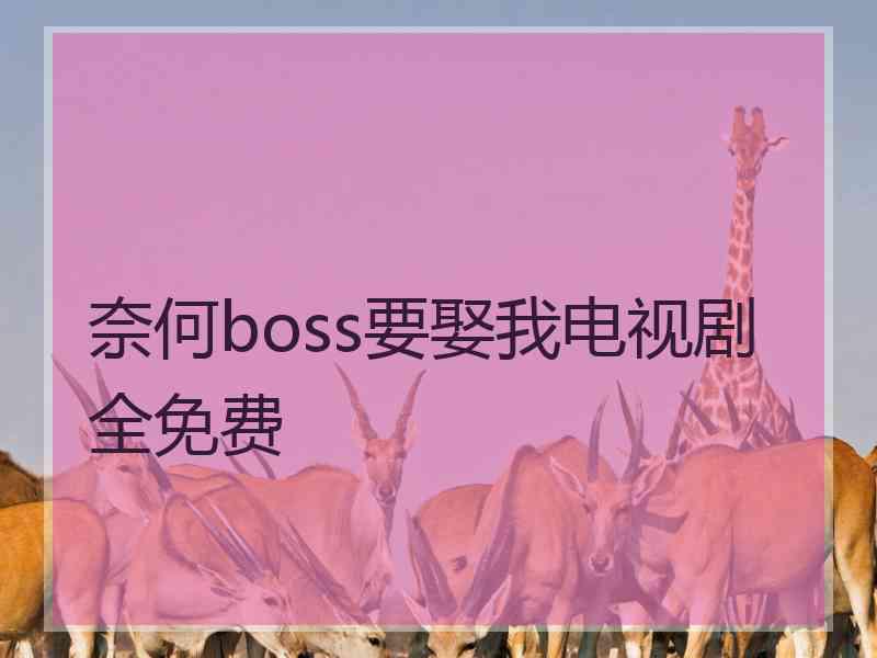 奈何boss要娶我电视剧全免费