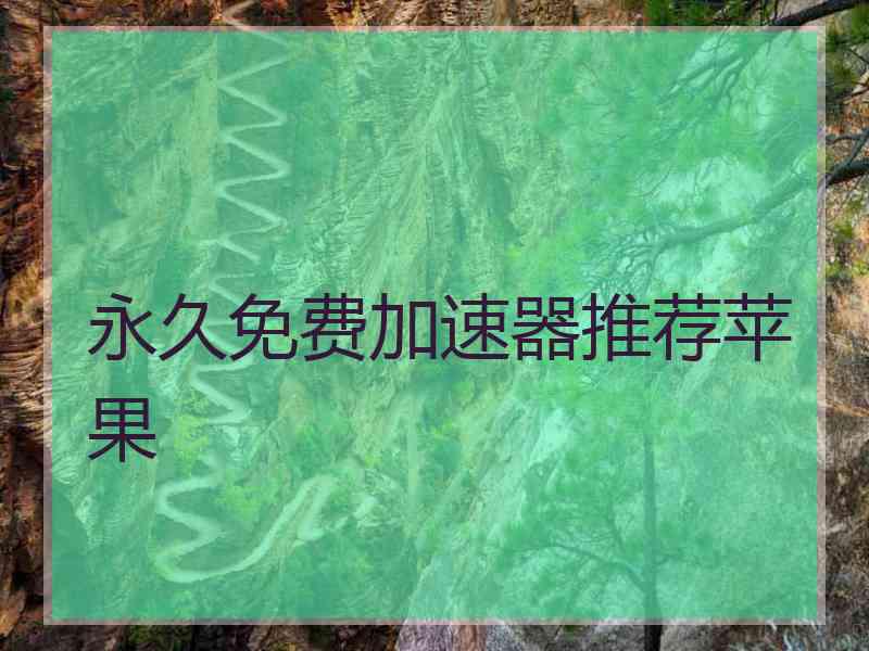 永久免费加速器推荐苹果