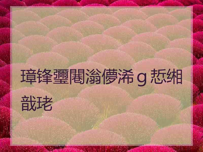 璋锋瓕闀滃儚浠ｇ悊缃戠珯