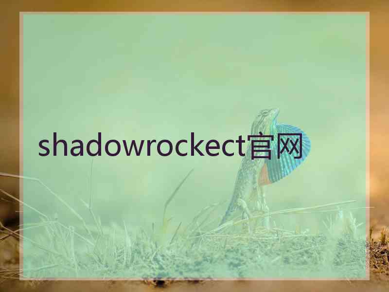 shadowrockect官网