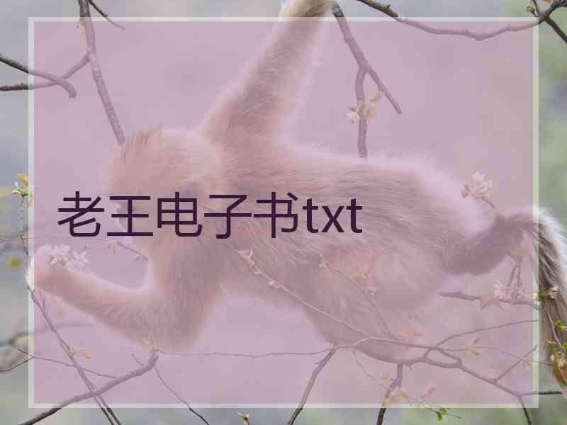 老王电子书txt