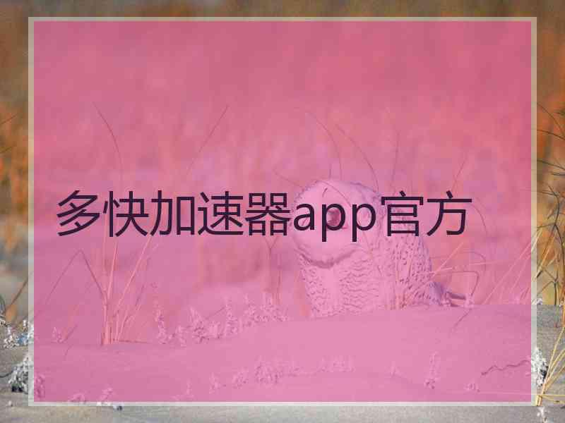 多快加速器app官方