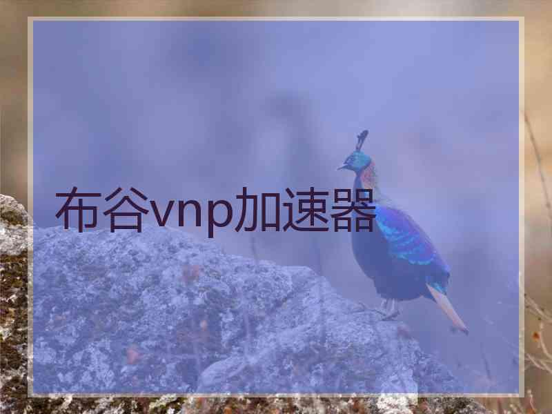 布谷vnp加速器