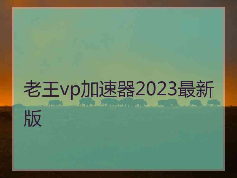 老王vp加速器2023最新版