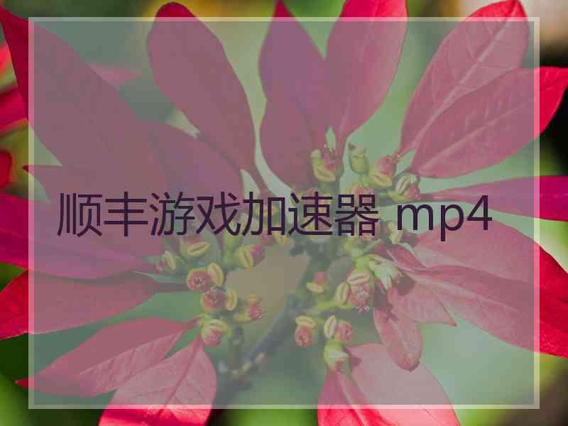 顺丰游戏加速器 mp4