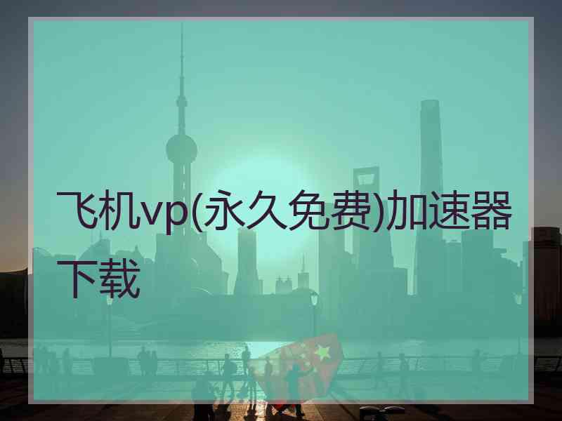 飞机vp(永久免费)加速器下载