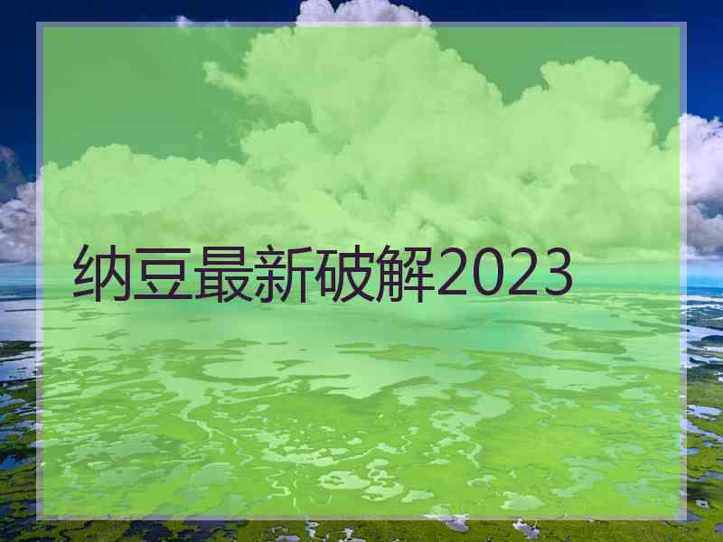 纳豆最新破解2023