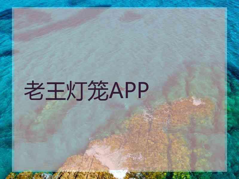 老王灯笼APP