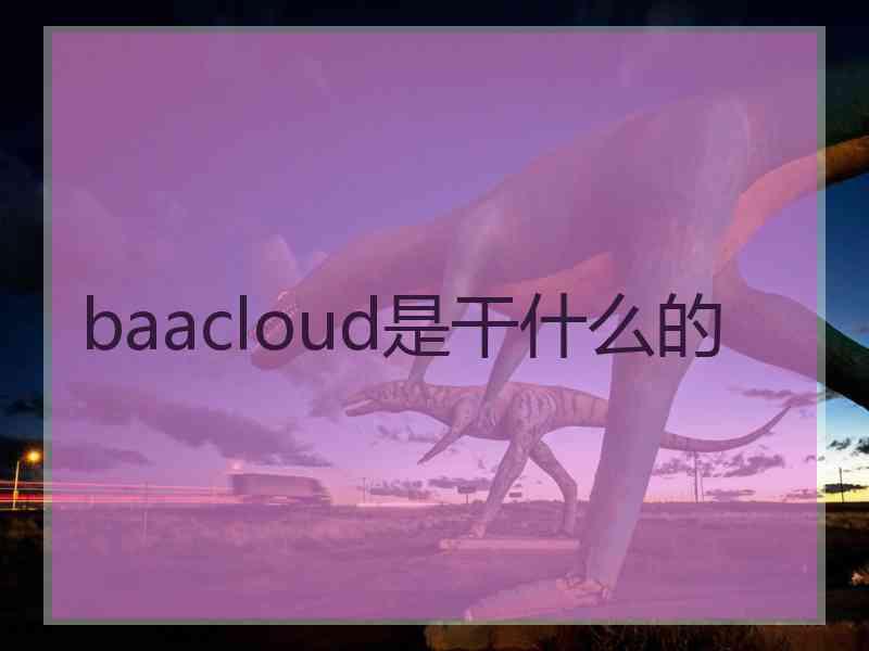 baacloud是干什么的