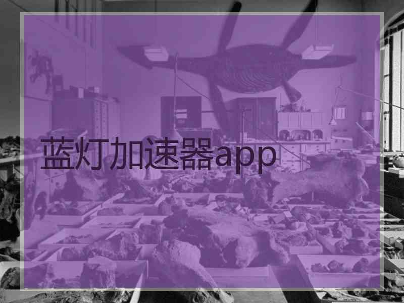 蓝灯加速器app