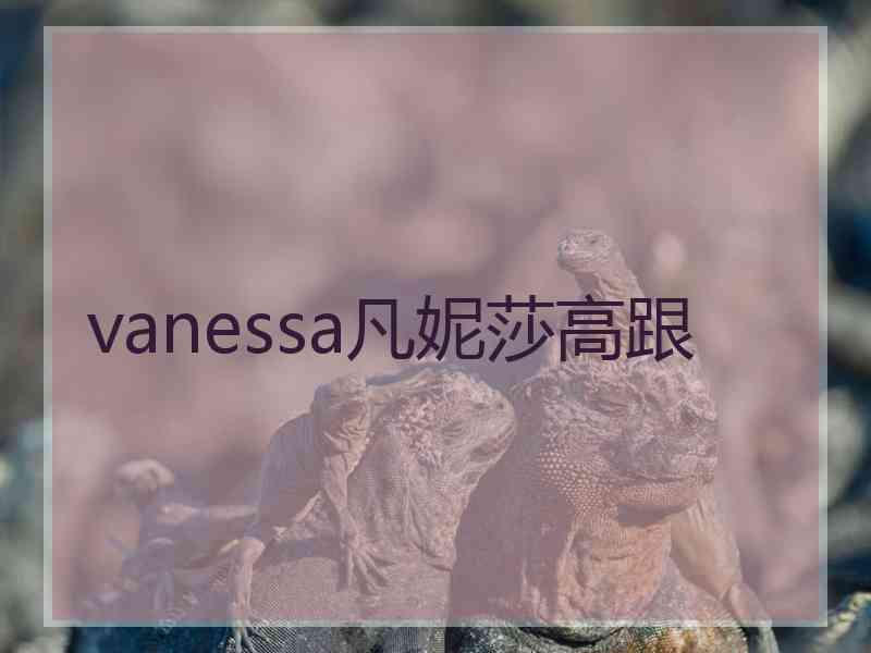 vanessa凡妮莎高跟