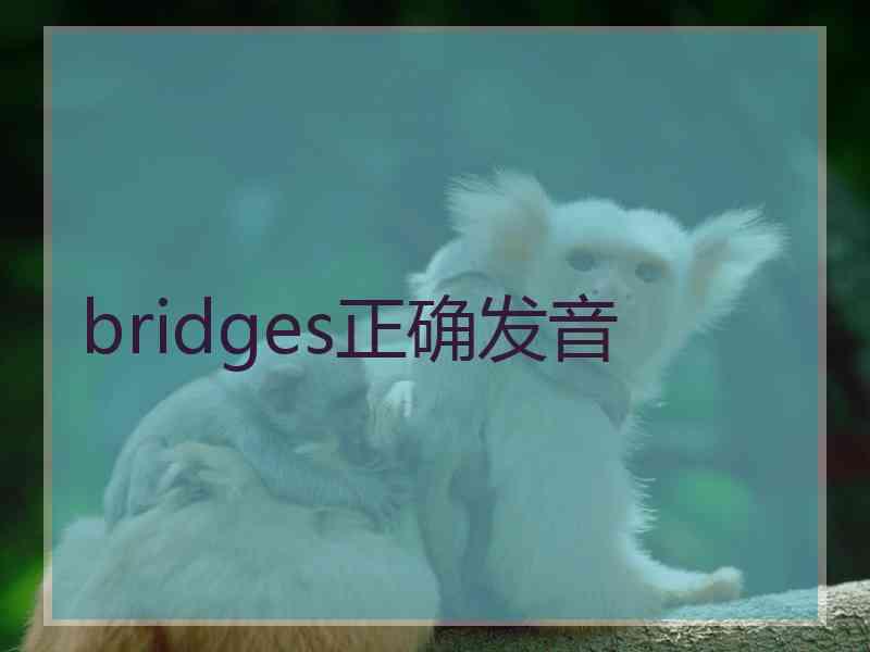 bridges正确发音