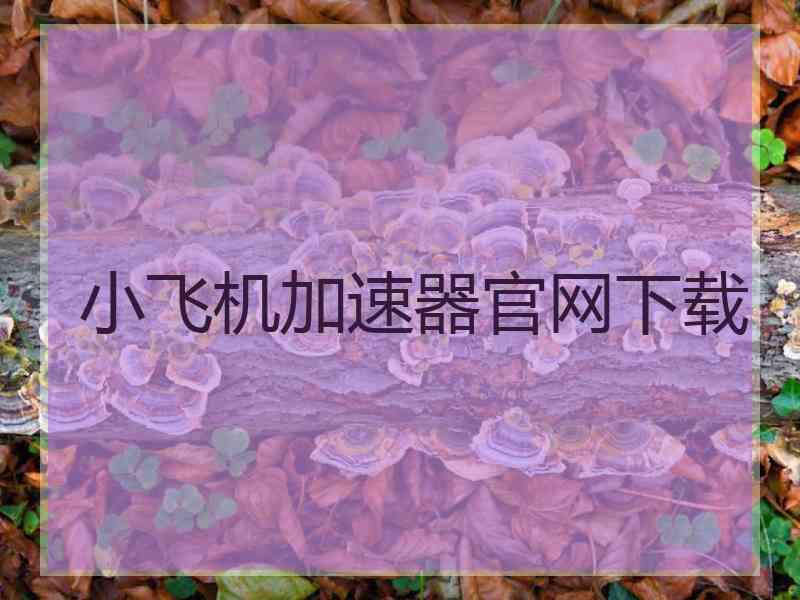 小飞机加速器官网下载