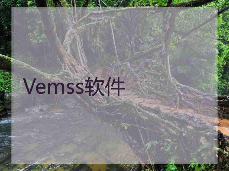 Vemss软件