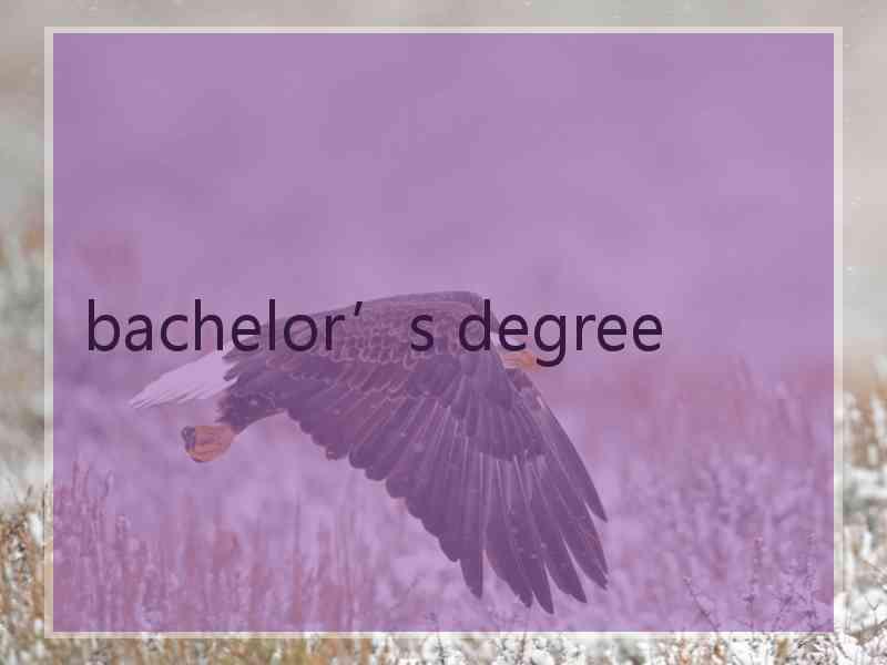 bachelor’s degree