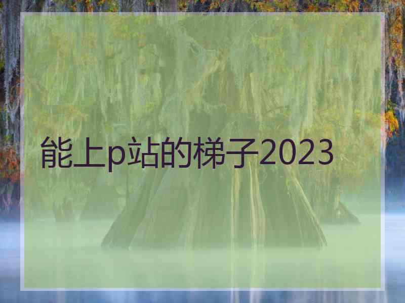 能上p站的梯子2023