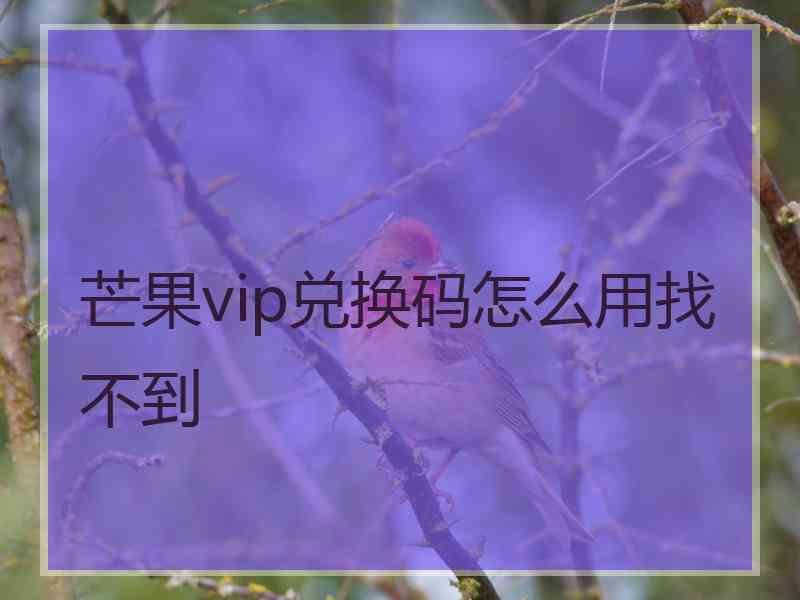 芒果vip兑换码怎么用找不到