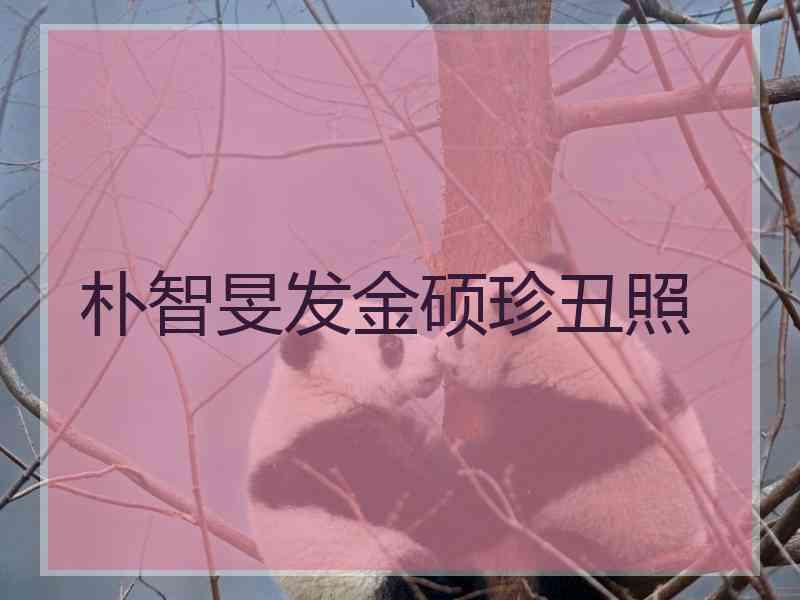 朴智旻发金硕珍丑照