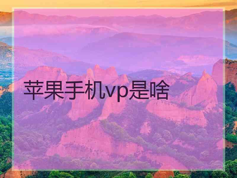 苹果手机vp是啥