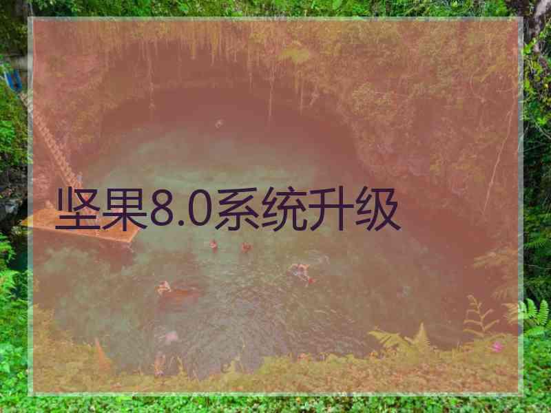 坚果8.0系统升级