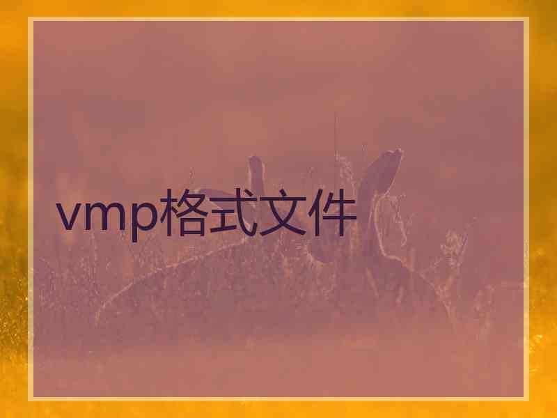 vmp格式文件