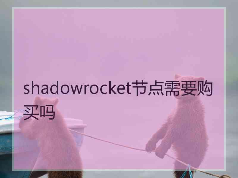 shadowrocket节点需要购买吗