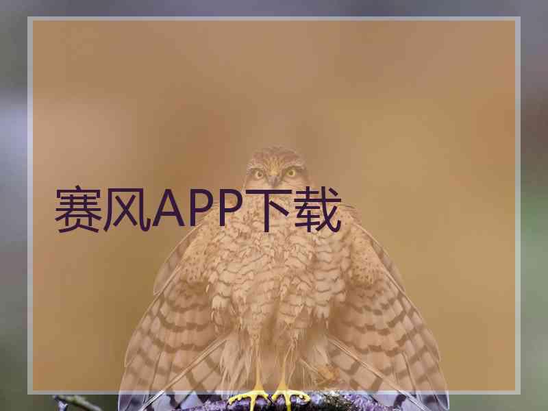 赛风APP下载