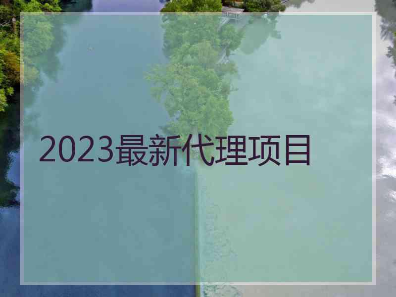 2023最新代理项目