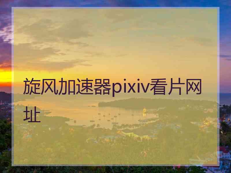 旋风加速器pixiv看片网址