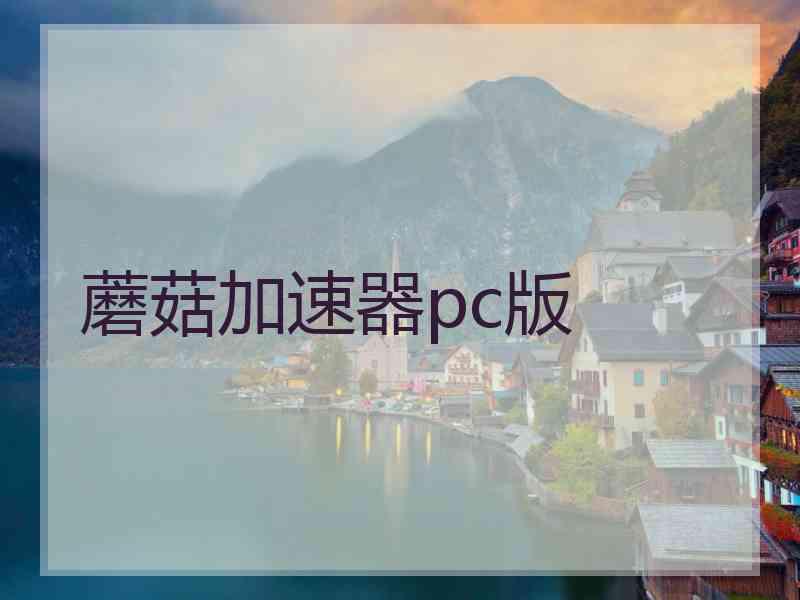 蘑菇加速器pc版