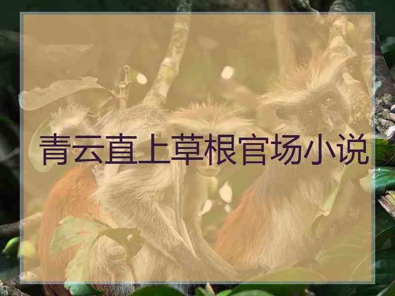 青云直上草根官场小说