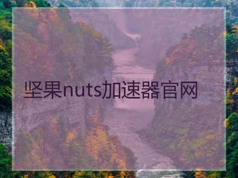 坚果nuts加速器官网