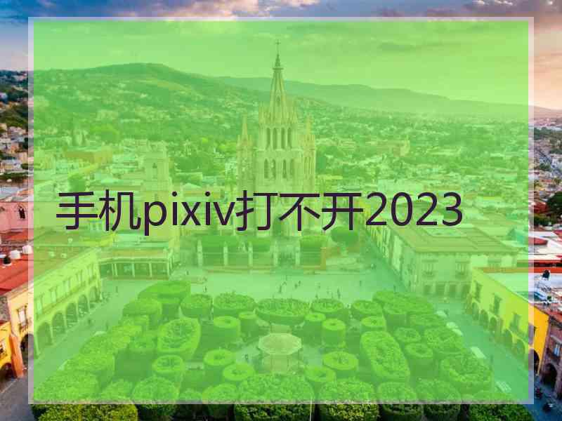 手机pixiv打不开2023