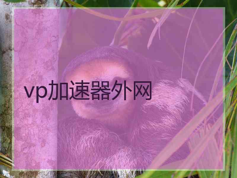 vp加速器外网