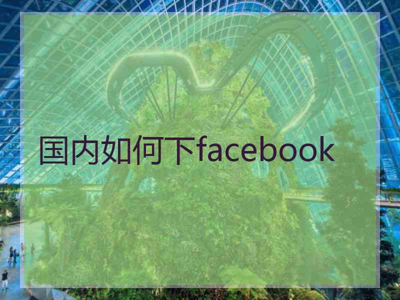 国内如何下facebook