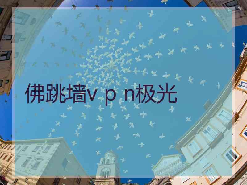 佛跳墙v p n极光