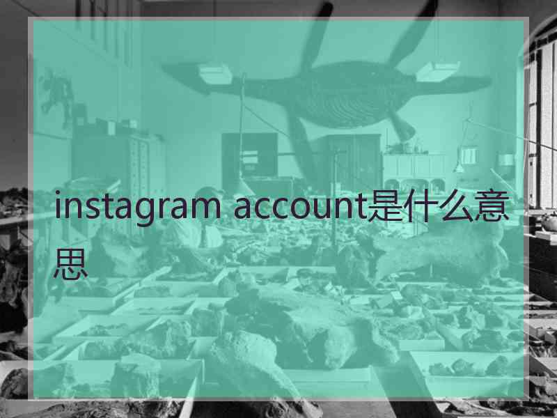 instagram account是什么意思