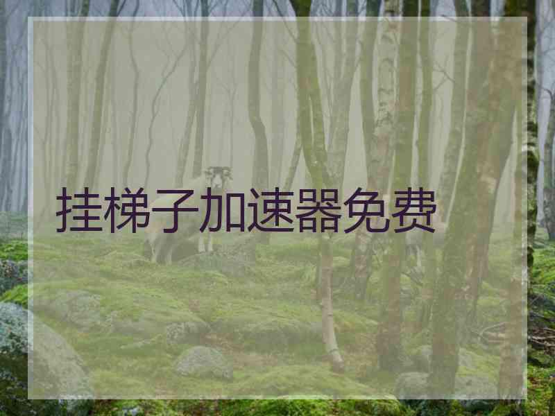 挂梯子加速器免费