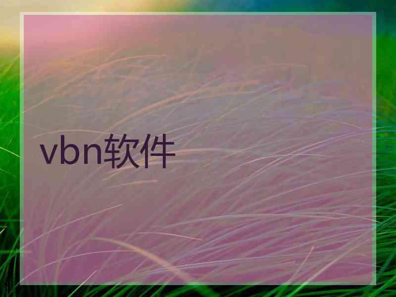 vbn软件