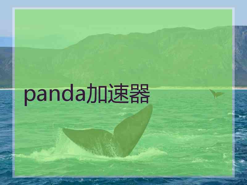 panda加速器