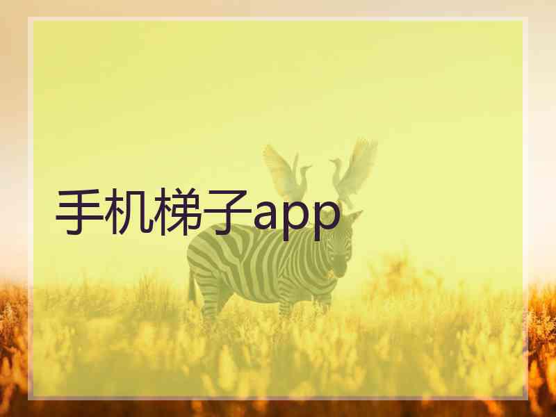 手机梯子app